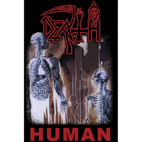 Human
