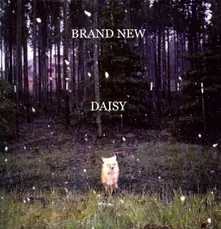 The Brand New Heavies, Vinyl DAISY
