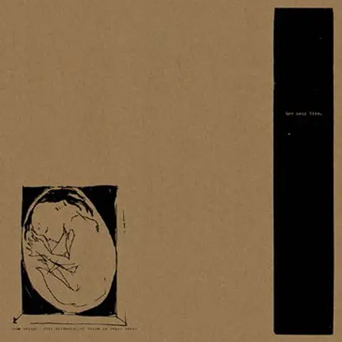 Boysetsfire – Vinyl THIS CRYING, THIS SCREAMING, MY VOICE IS BEING BORN