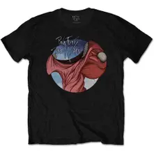 The Wall Swallow thumbnail
