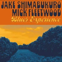 Jake Shimabukuro, Vinyl BLUES EXPERIENCE