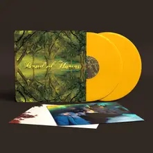 Band of Horses, Vinyl EVERYTHING ALL THE TIME