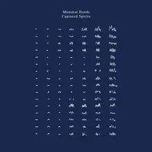 CD MAMMAL HANDS - CAPTURED SPIRITS