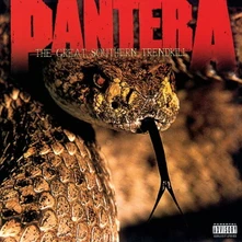Pantera, Vinyl The Great Southern Trendkill