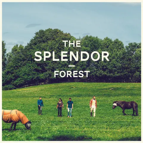 The Splendor – Vinyl FOREST
