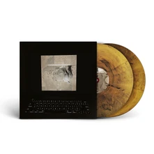 Lambchop, Vinyl BIBLE