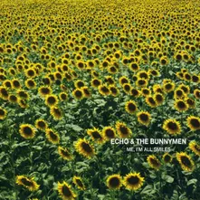 Echo & the Bunnymen – ME, I AM ALL SMILES (CD)