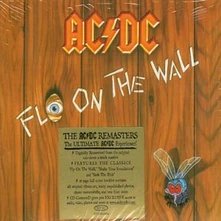 CD Fly On the Wall
