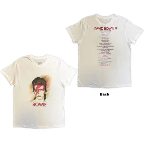 Bowie Is