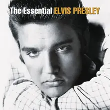 Vinyl The Essential