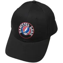 Steal Your Face Logo thumbnail