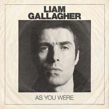 Vinyl AS YOU WERE