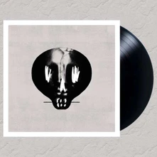 Vinyl Bullet for My Valentine