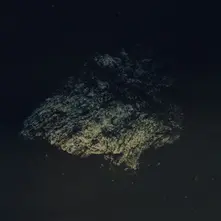 Multicast Dynamics - Lost World (Vinyl)
