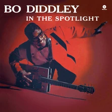 Vinyl IN THE SPOTLIGHT