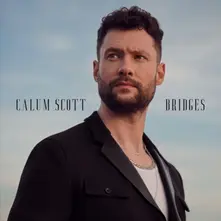 Bridges thumbnail