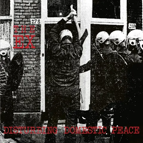 DISTURBING DOMESTIC PEACE