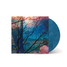 Vinyl IDLEWILD