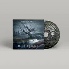 CD BURIED IN THE HAIL