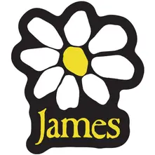 Sticker: Yellow Logo White Daisy thumbnail