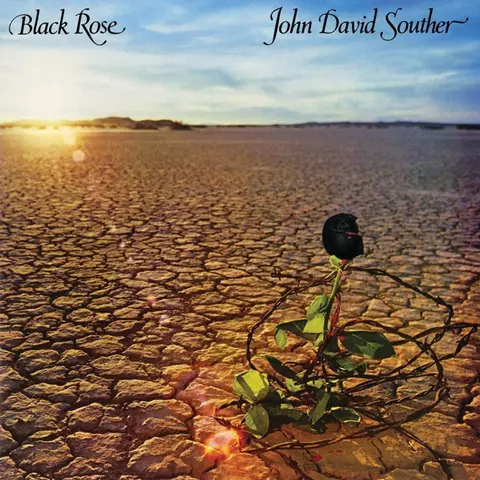 BLACK ROSE