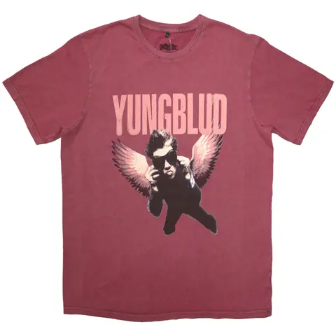 Wings