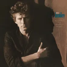 Don Henley – Building The Perfect Beast (Vinyl)