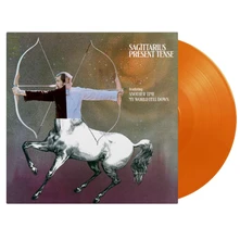 Vinyl Sagittarius - Present Tense