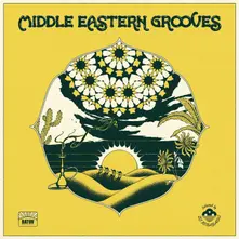 Various Artists – V/A - MIDDLE EASTERN GROOVES - SELECTED BY DJ KOBAYASHI (Vinyl)