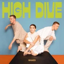 Vinyl HIGH DIVE