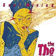 Vinyl Soul Mining