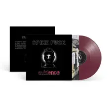 Vinyl EVIDENCE