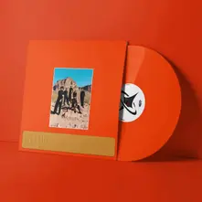LEISURE, Vinyl WELCOME TO THE MOOD
