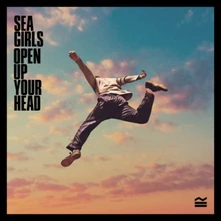 Vinyl OPEN UP YOUR HEAD