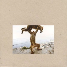 CD SHELLAC - DUDE INCREDIBLE