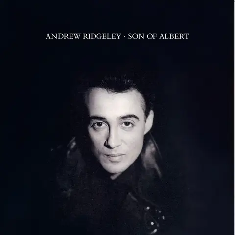 Vinyl SON OF ALBERT