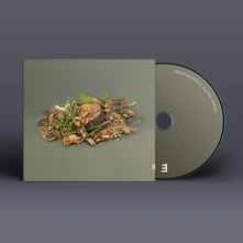 Fergus McCreadie, CD FOREST FLOOR