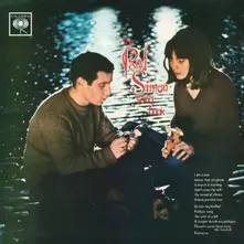 Vinyl The Paul Simon Songbook