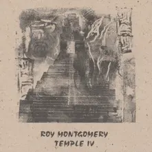 Roy Montgomery – TEMPLE IV (Vinyl)