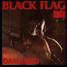 Vinyl BLACK FLAG - DAMAGED