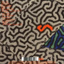 Animal Collective – TANGERINE REEF (CD)