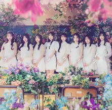 COLORCON WINK thumbnail