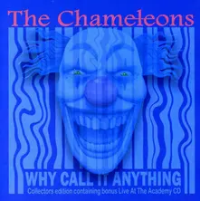 The Chameleons – CHAMELEONS - WHY CALL IT ANYTHING (CD)