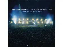 The Magnificent Tree - Live With Strings thumbnail