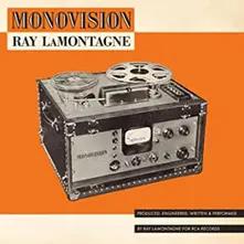 Vinyl Monovision
