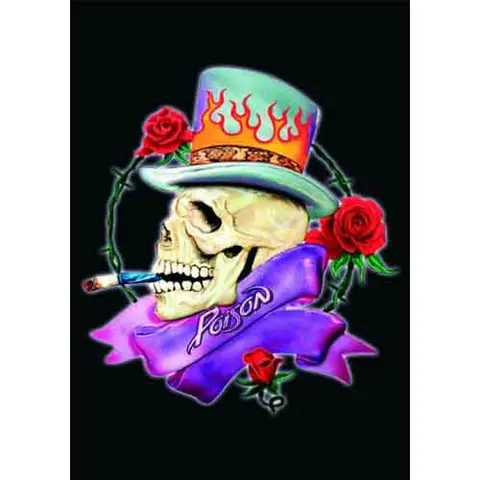 Postcard: Skull
