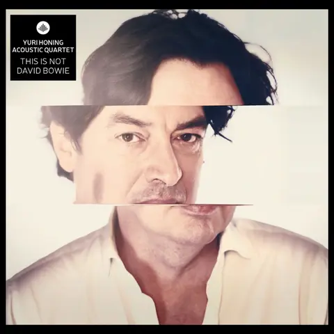 THIS IS NOT DAVID BOWIE
