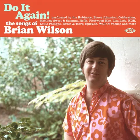 Brian Wilson – CD DO IT AGAIN!