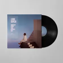 Vinyl Broken By Desire To Be