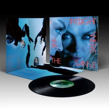 Vinyl I THOUGHT WE WERE THE SAME